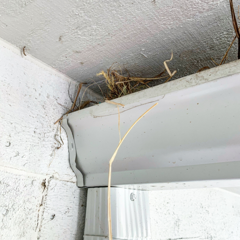 7775B6EC 9927 4E8B 9BF5 0F5D7CFC9A27 768x768